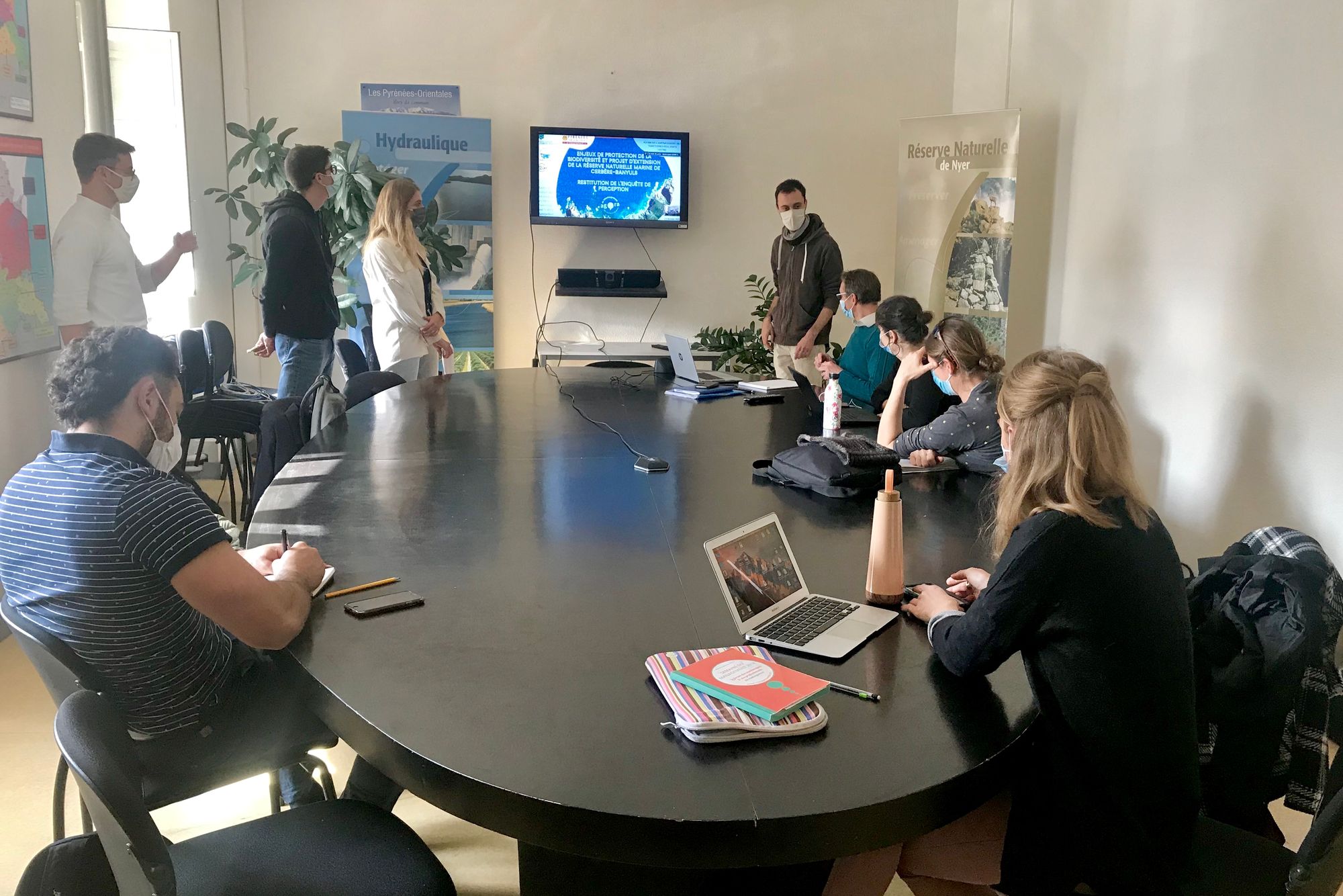 Une voix citoyenne en faveur du projet d'extension de la Réserve de Cerbère-Banyuls